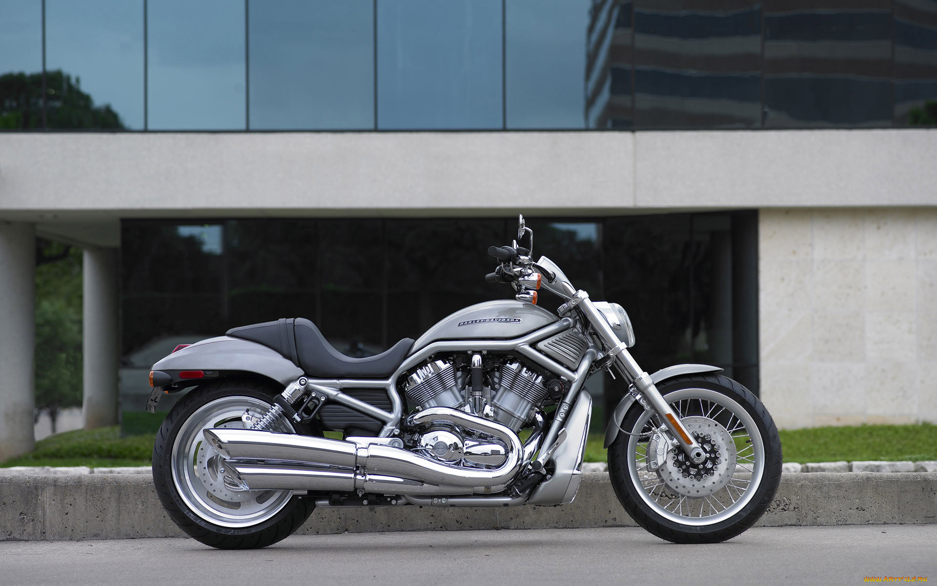 , harley, davidson